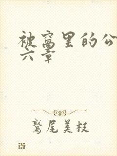 被窝里的公息十六章