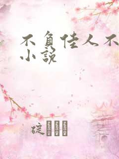 不负佳人不负卿小说