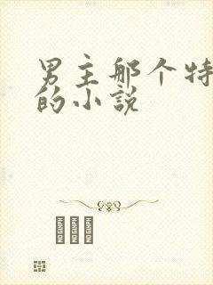 男主那个特别大的小说