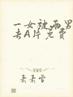 一女被两男桶进去A片免费