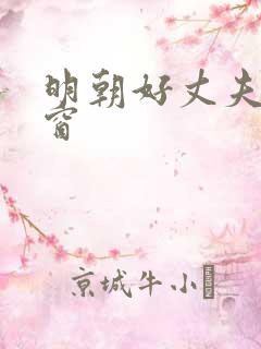 明朝好丈夫无弹窗