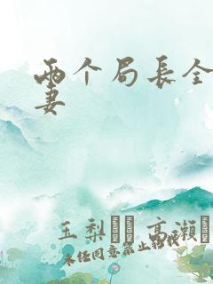 两个局长全肉共妻