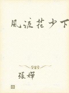 风流花少下载