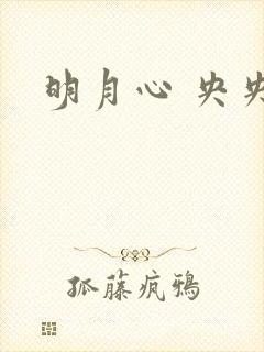 明月心 央央
