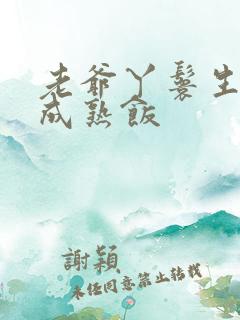 老爷丫鬟生米煮成熟饭