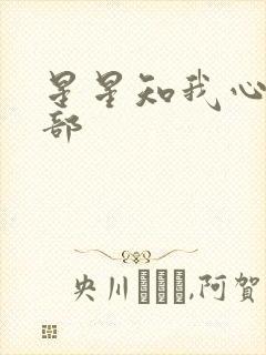 星星知我心第二部