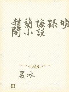 赵兰梅孙明笔趣阁小说