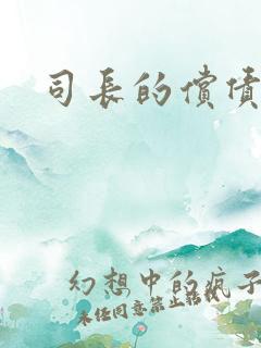 司长的偿债新娘