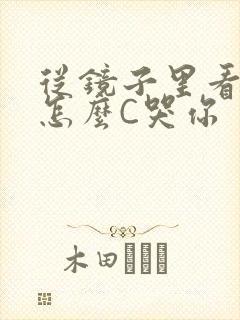 从镜子里看我是怎么C哭你