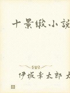 十景缎小说