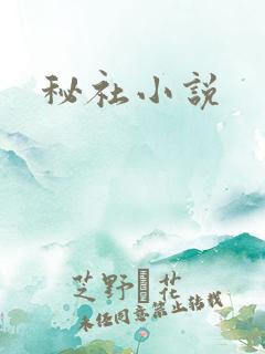 秘社小说