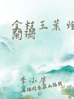 金枝玉叶 灯火阑珊