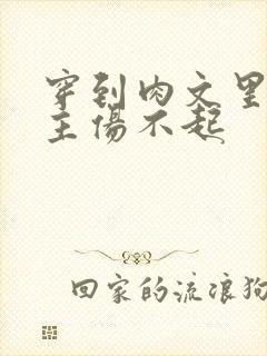 穿到肉文里的女主伤不起