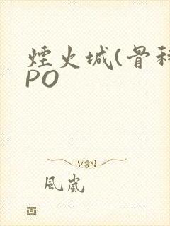 烟火城(骨科)PO
