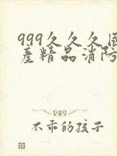 999久久久国产精品消防器材