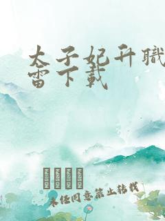 太子妃升职记迅雷下载