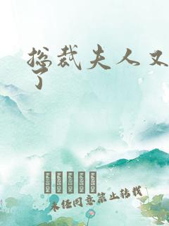 总裁夫人又征婚了