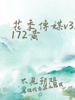 花季传媒v3.172黄