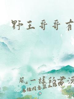 野王哥哥有点甜