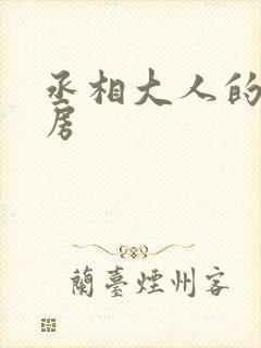 丞相大人的小通房