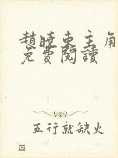 赵晓东主角小说免费阅读