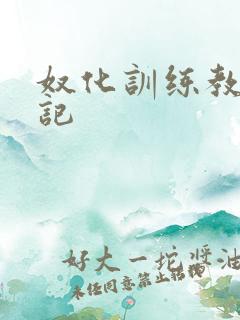 奴化训练教程日记