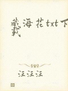 藏海花txt下载