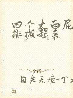 四个大白屁股并排撅起来
