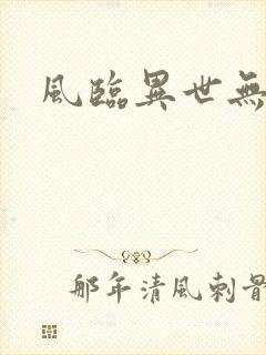 风临异世无弹窗