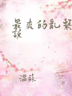 最爽的乱系列小说