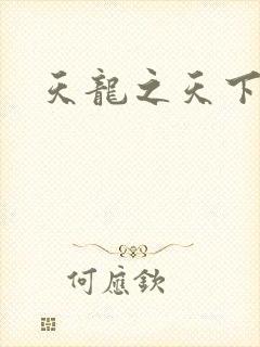 天龙之天下有我