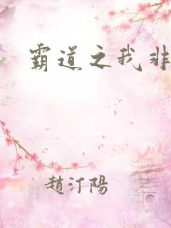 霸道之我非英雄