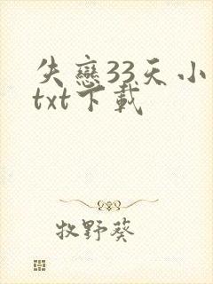 失恋33天小说txt下载