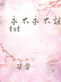 永不永不说再见txt