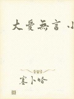 大爱无言 小说