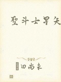 圣斗士星矢小说