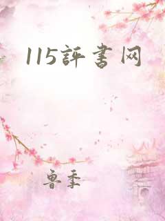 115评书网