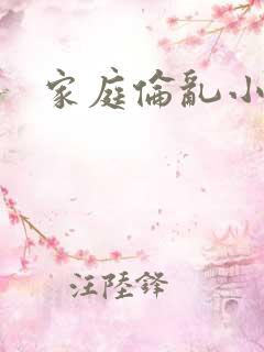家庭伦乱小说