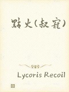 点火(叔宠)