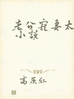 老公宠妻太甜蜜 小说