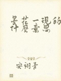 昙花一现的现是什么意思