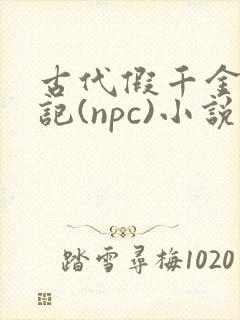 古代假千金挨日记(npc)小说