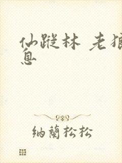 仙踪林 老狼信息