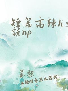 短篇高辣h文小说np