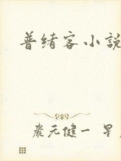 普绪客小说
