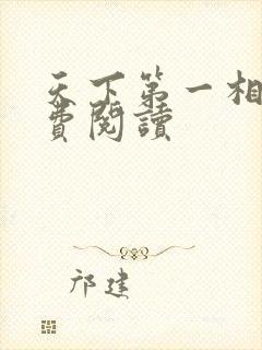 天下第一相书免费阅读