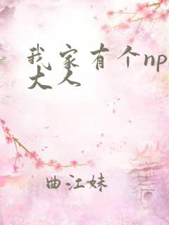 我家有个npc大人