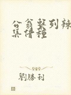 公翁系列辣文全集借种