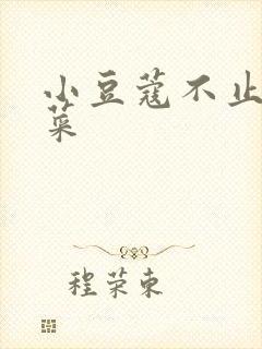 小豆蔻不止是颗菜