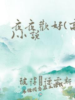 夜夜欢好(高h)小说